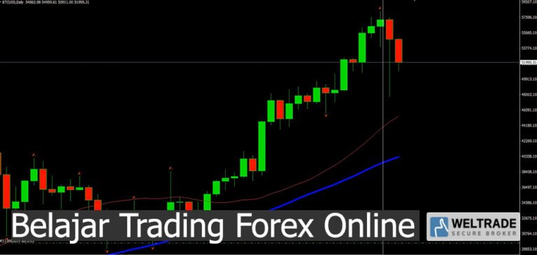 Belajar Trading Forex Online | Weltrade Malaysia